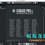 佩斯资源网Cubase Pro 12.0.0安装程序中文破解版(附软件下载址)